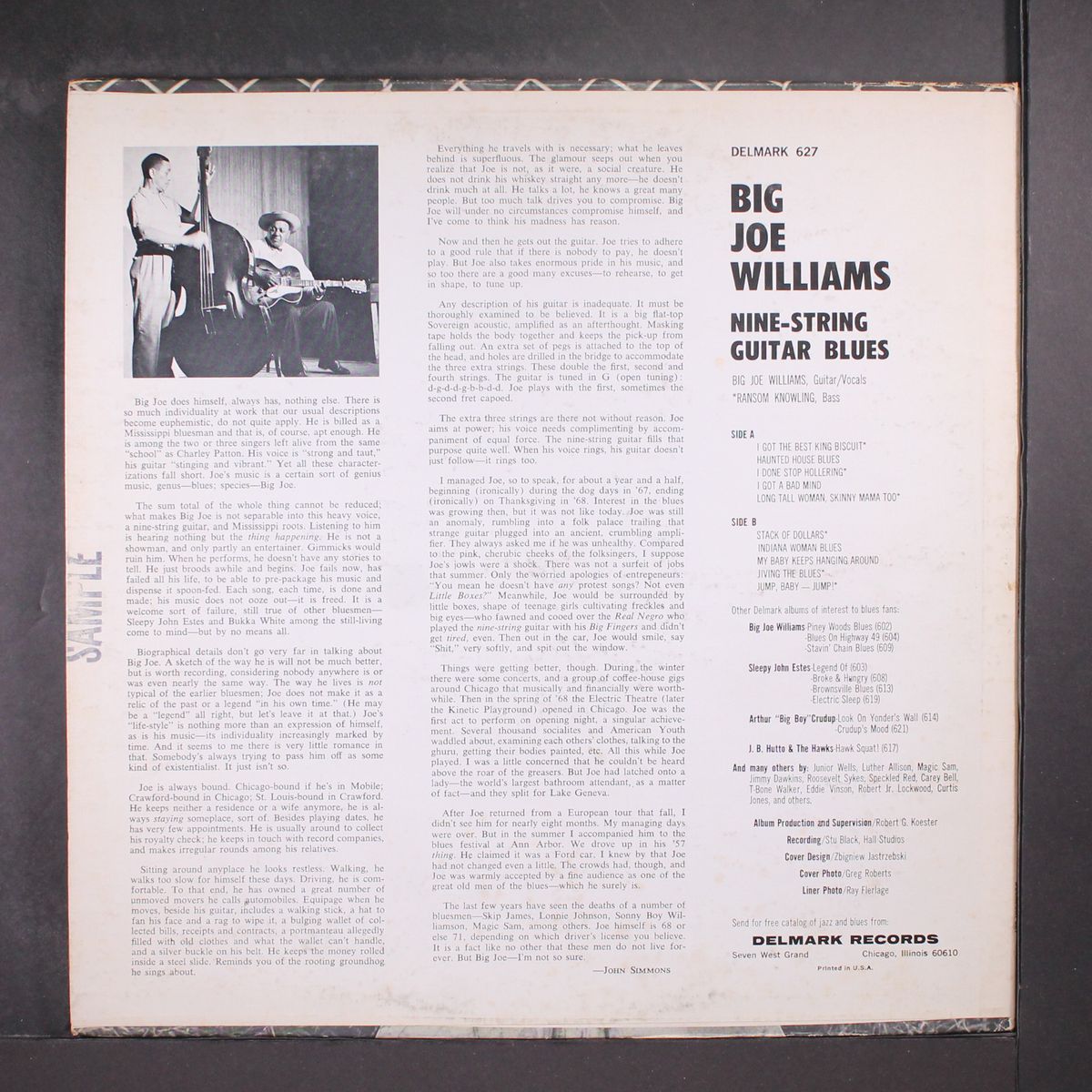 nine-string guitar blues by BIG JOE WILLIAMS