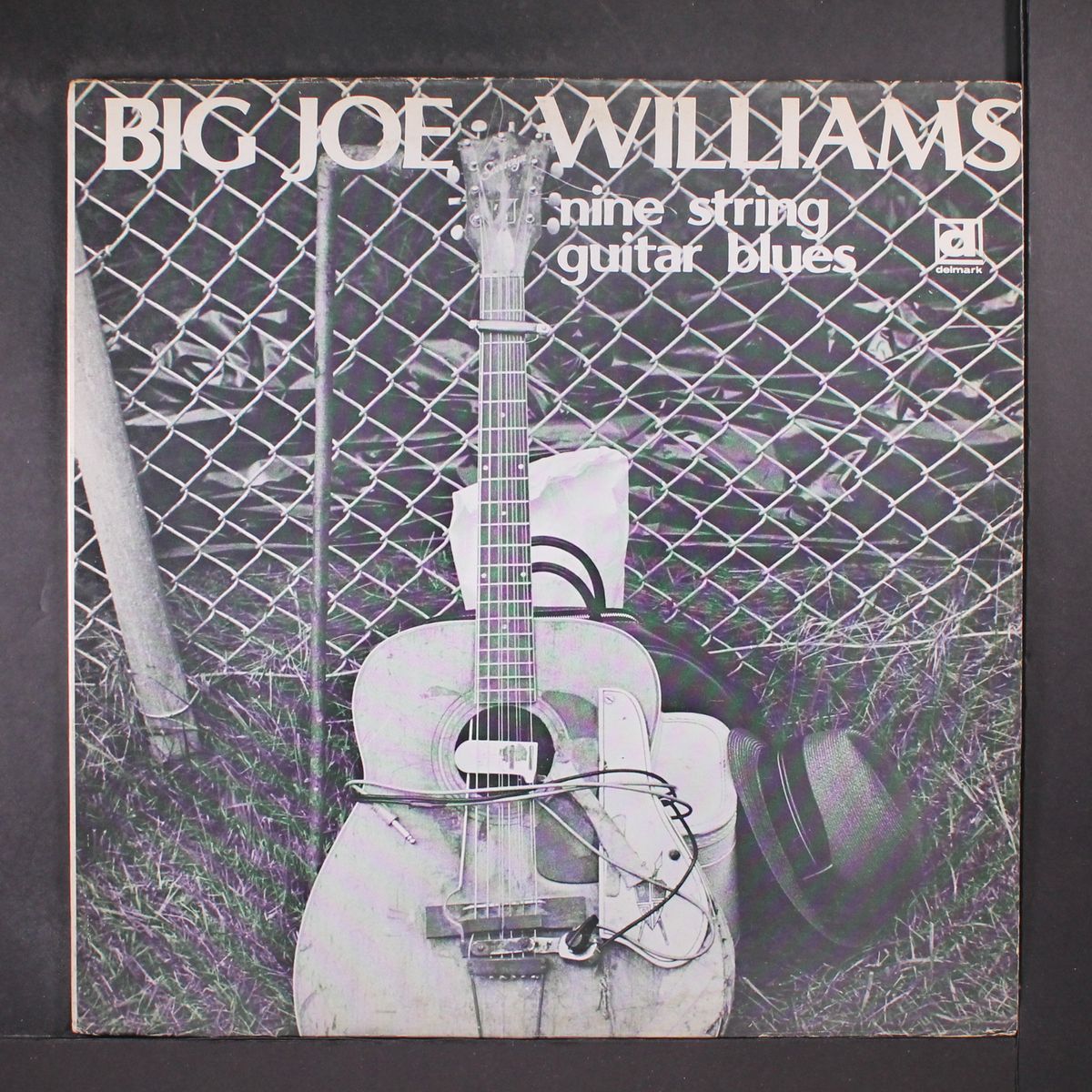 nine-string guitar blues by BIG JOE WILLIAMS