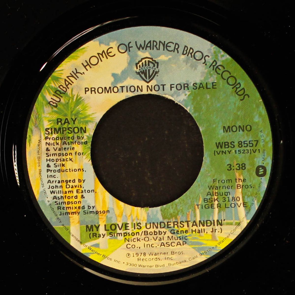 my love is understandin' / mono by RAY SIMPSON