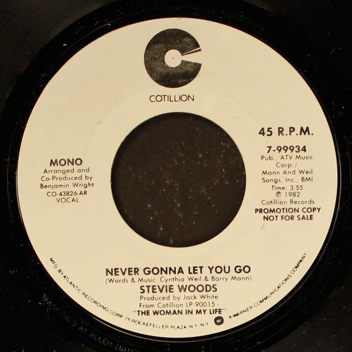 never gonna let you go / mono by STEVIE WOODS