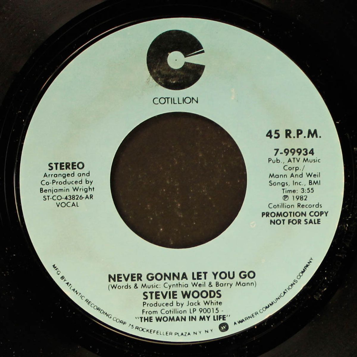 never gonna let you go / mono by STEVIE WOODS
