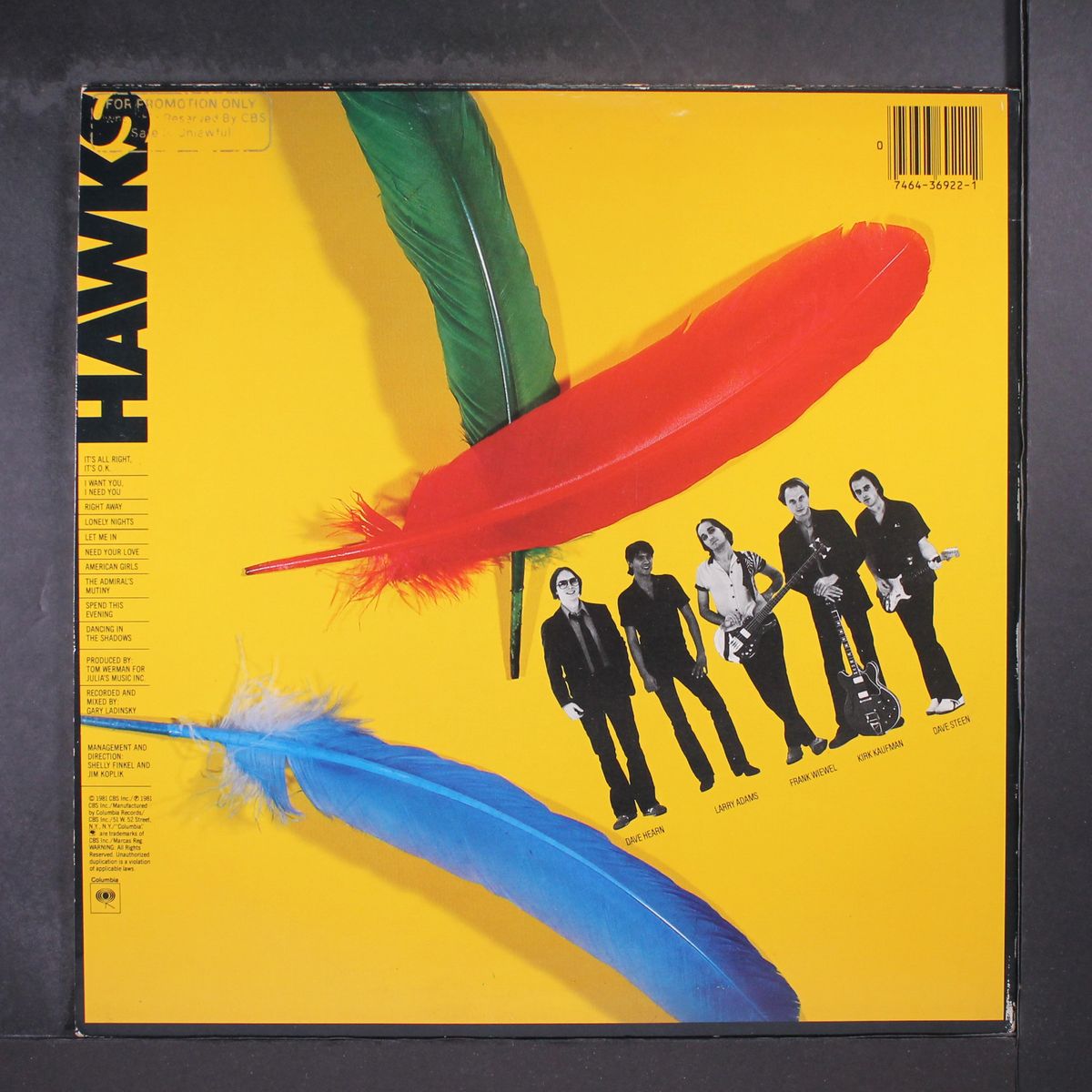 hawks by HAWKS