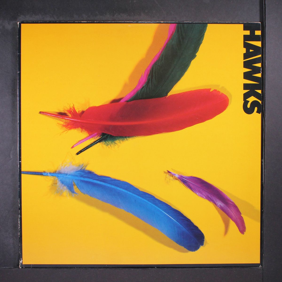 hawks by HAWKS