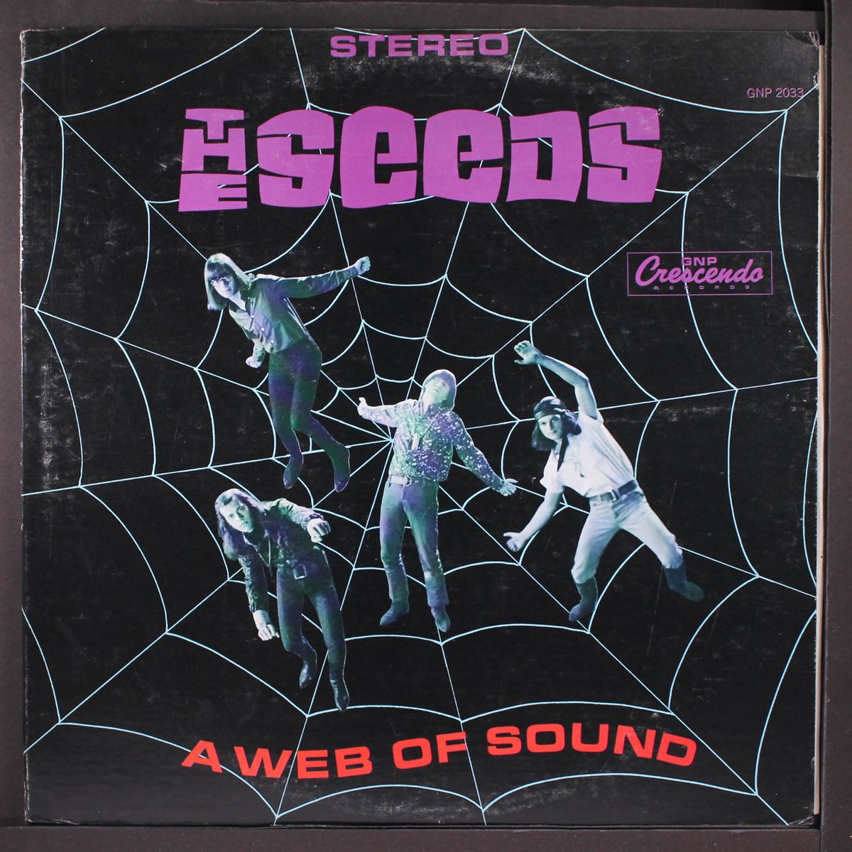 a web of sound by SEEDS