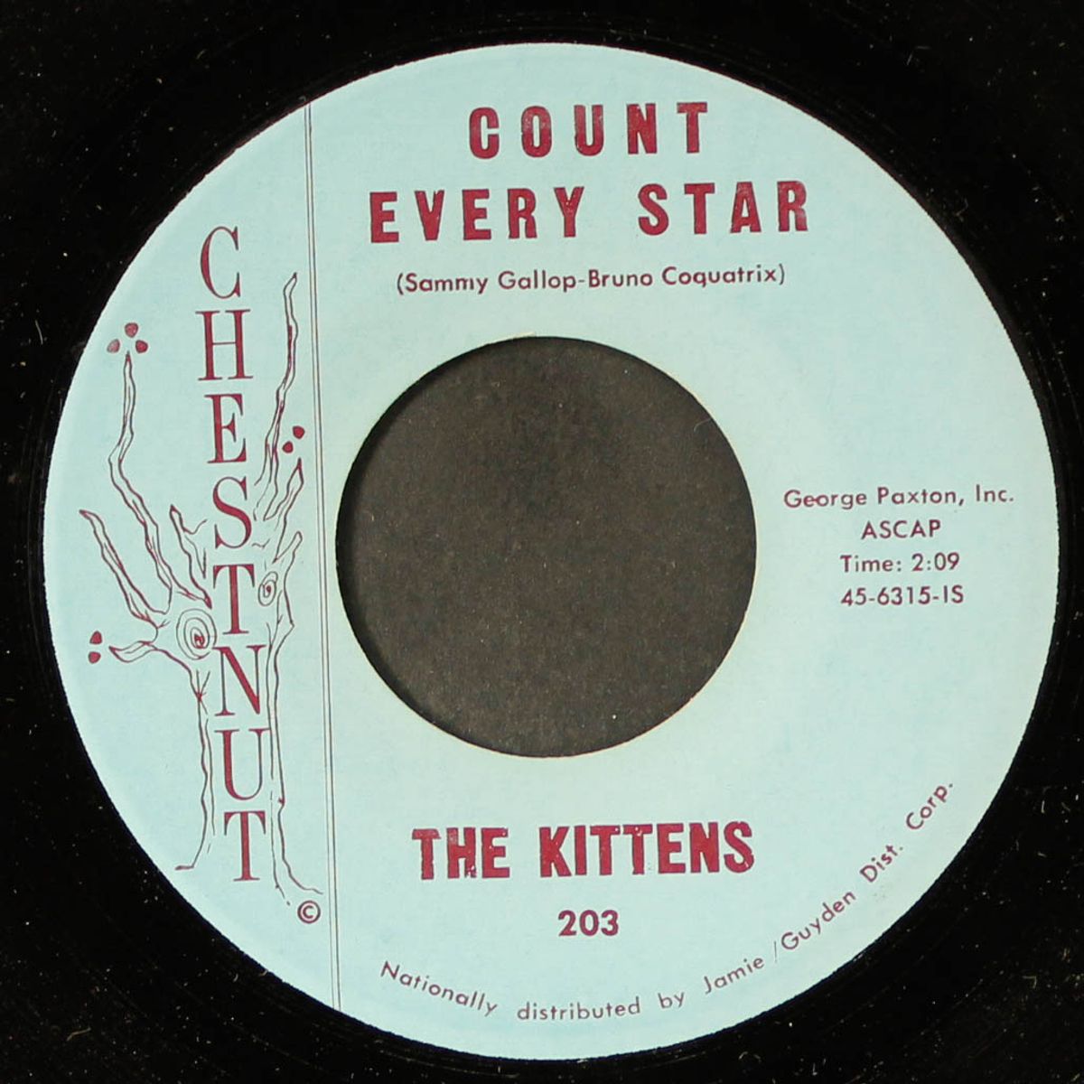 i'm worried / count every star by KITTENS