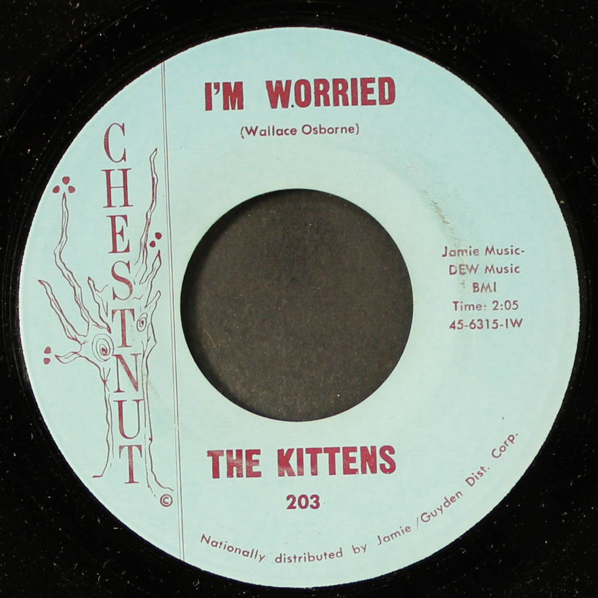 i'm worried / count every star by KITTENS