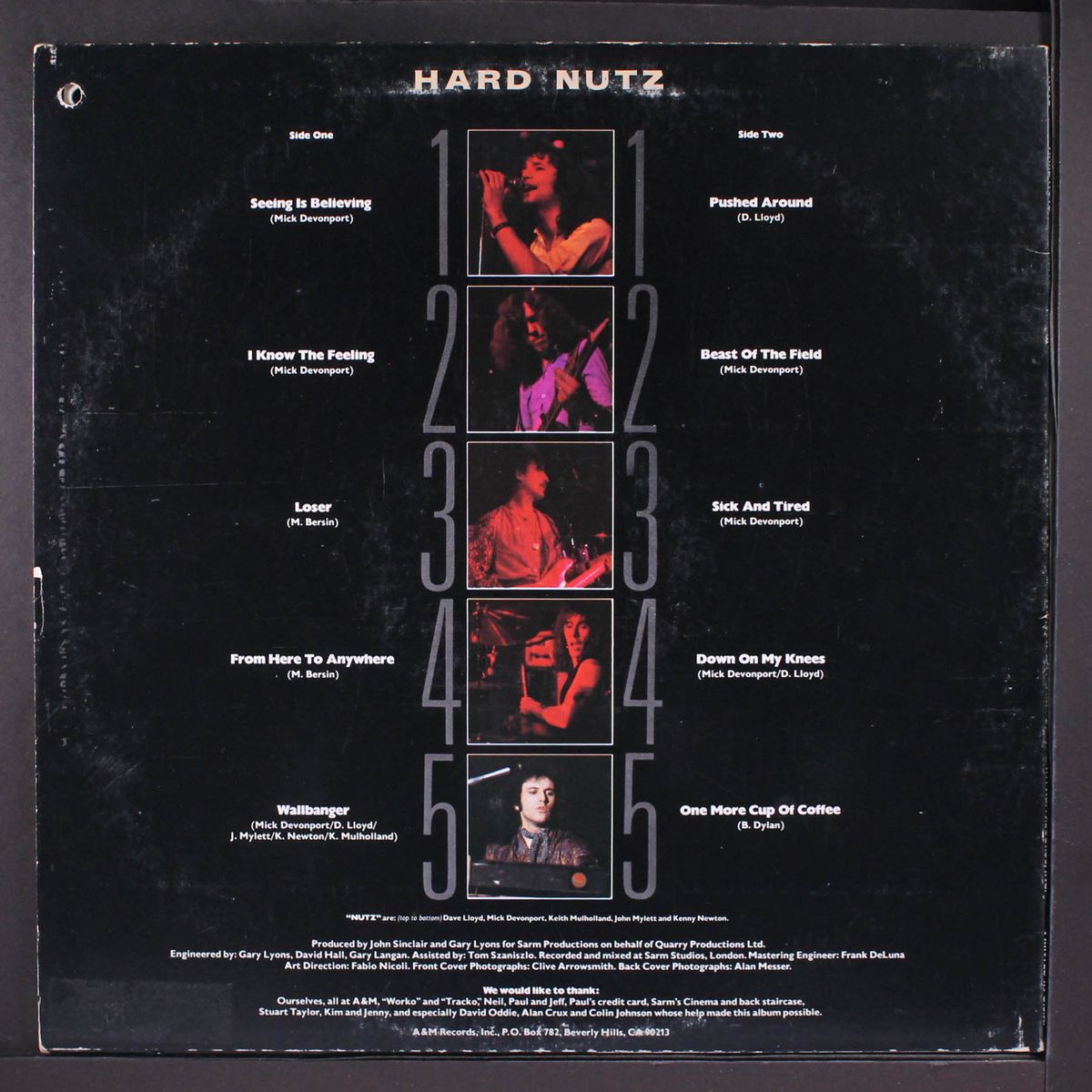 hard nutz by NUTZ