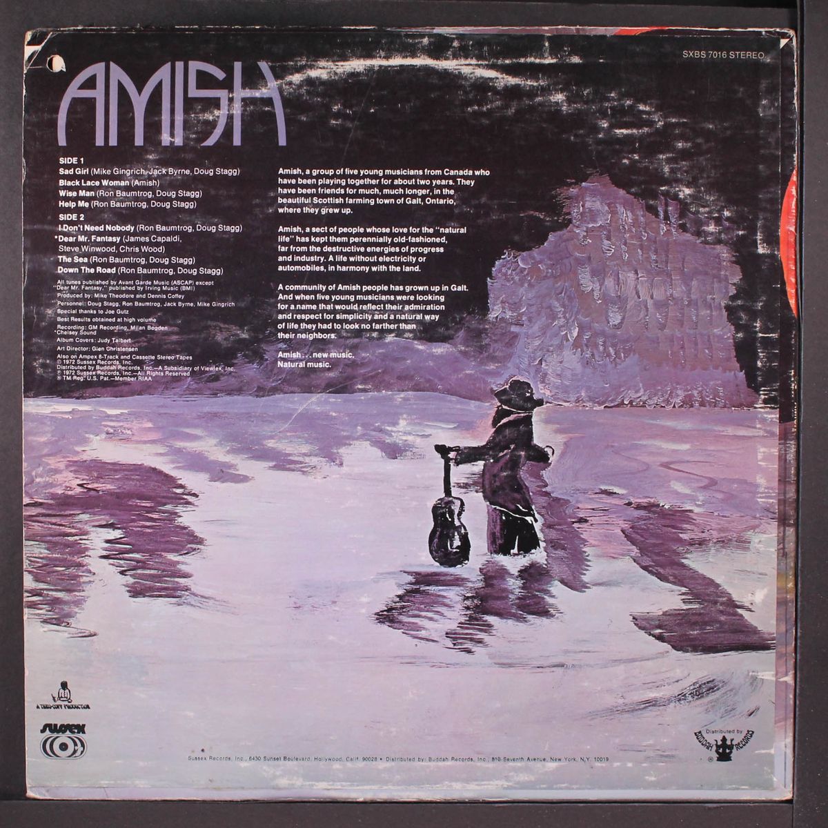 amish by AMISH