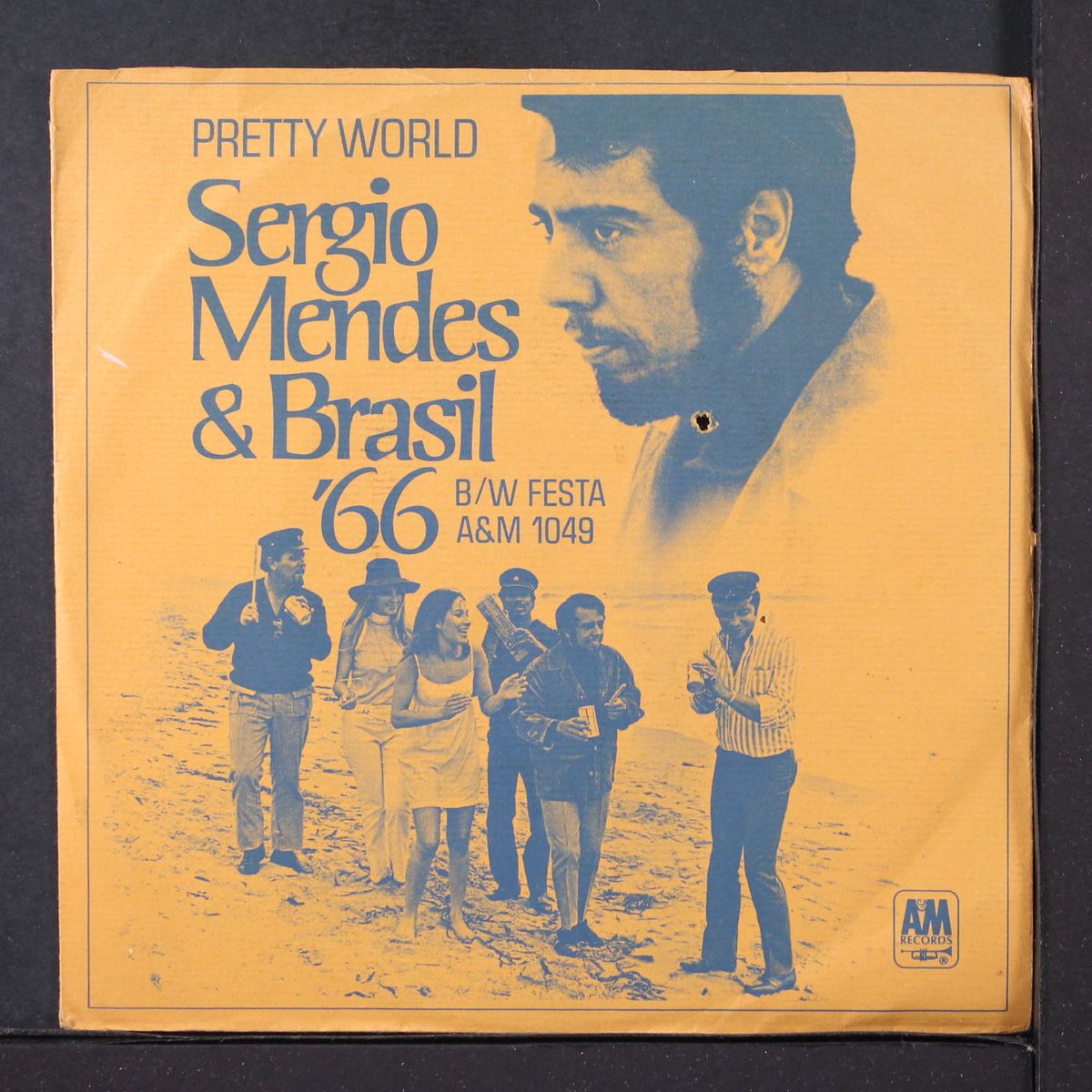 pretty world / festa by SERGIO MENDES