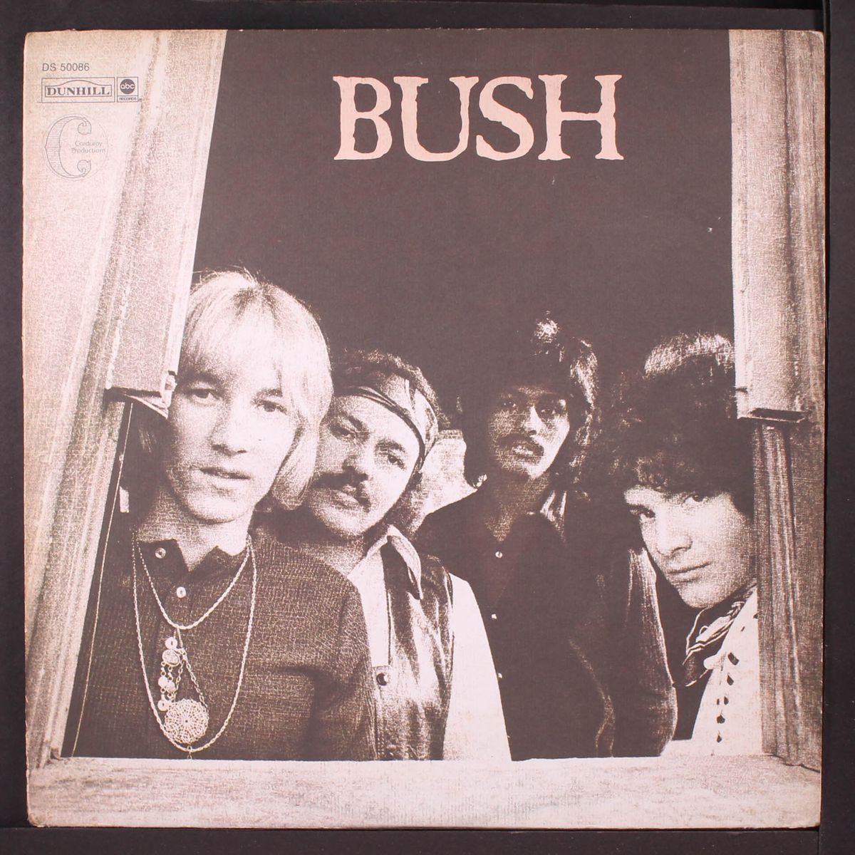 bush by BUSH