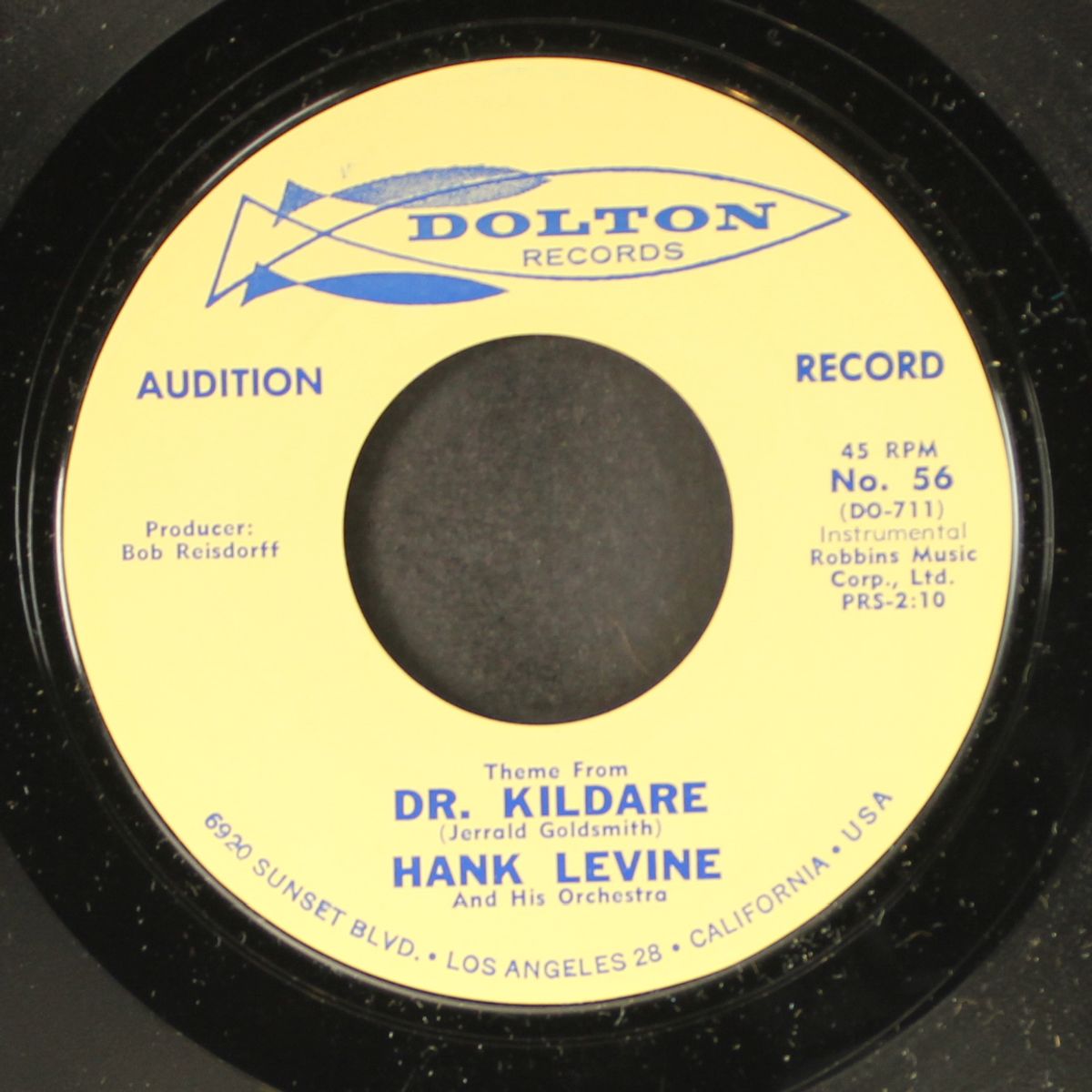 theme from dr. kildare by HANK LEVINE