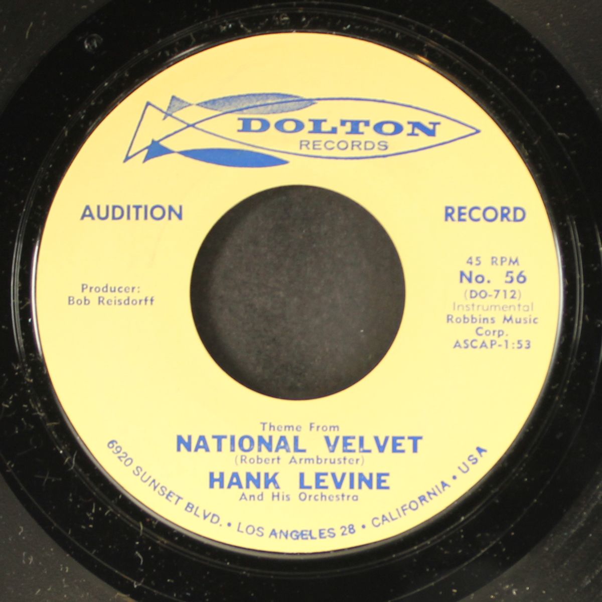 theme from dr. kildare by HANK LEVINE
