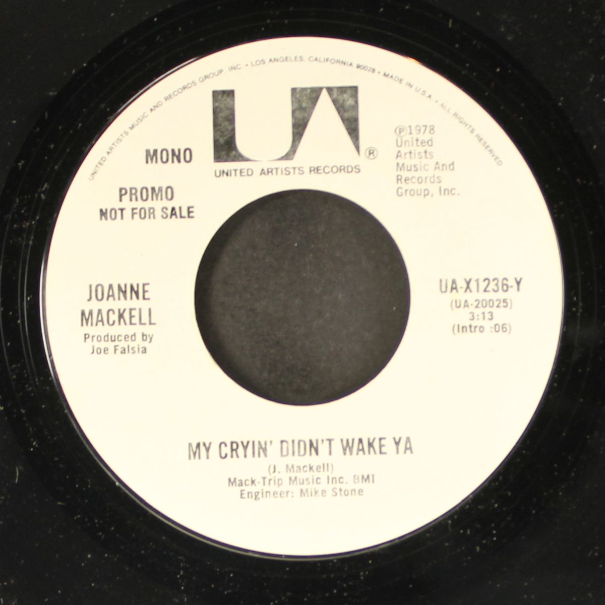 my cryin' didn't wake ya / mono by JOANNE MACKELL
