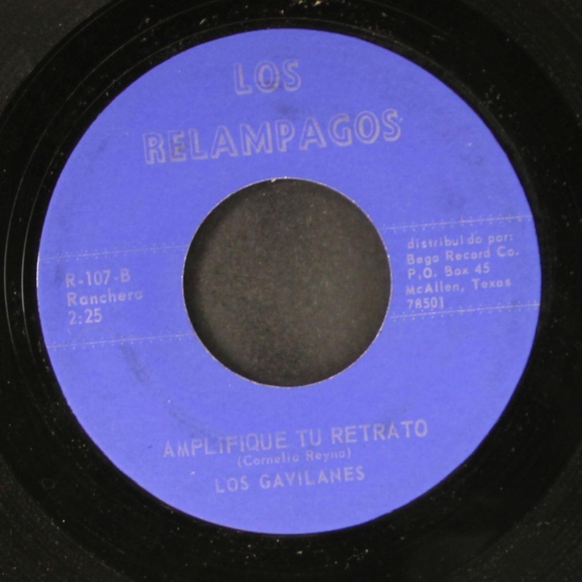 onorio farias / amplifique tu retrato by LOS GAVILANES