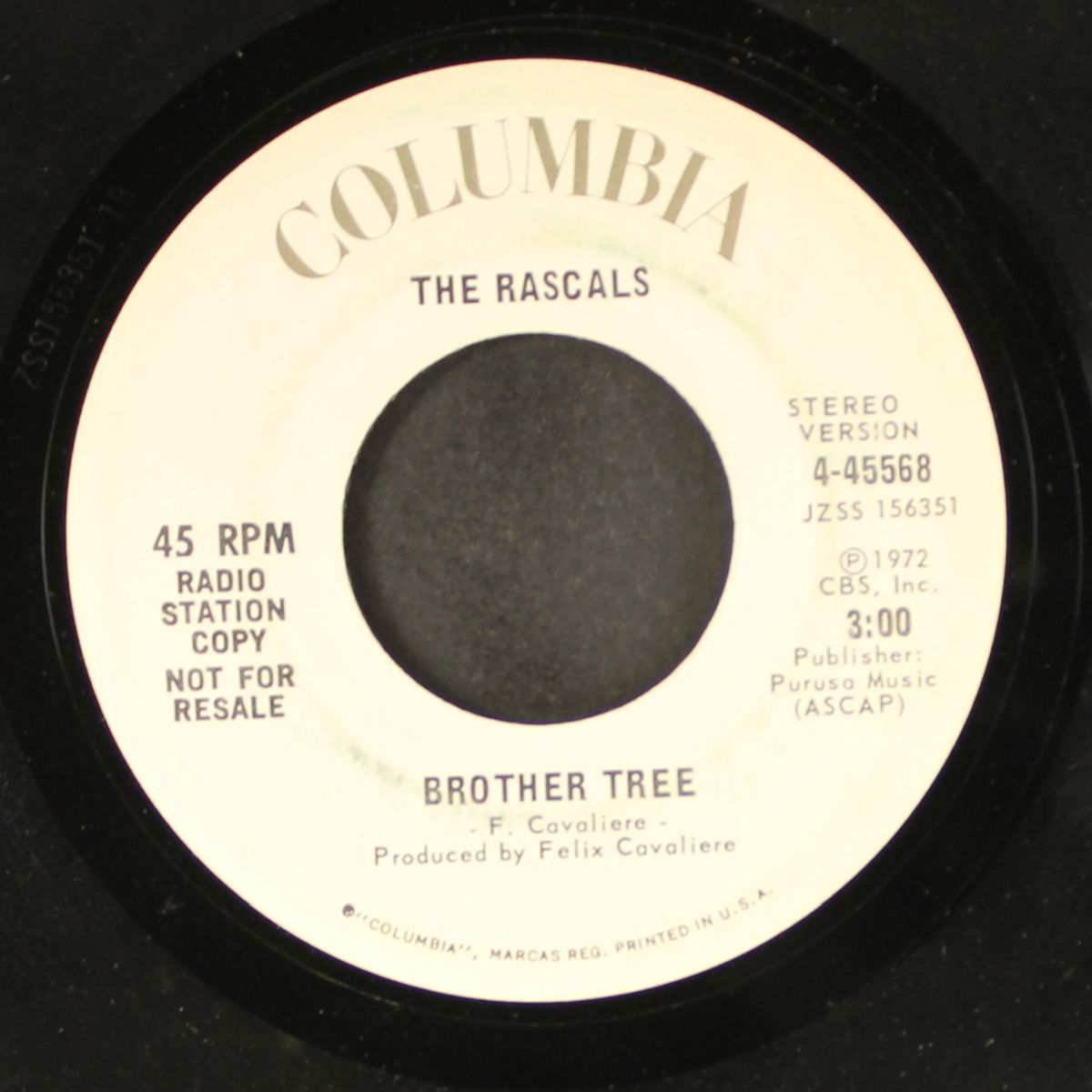 brother tree by RASCALS