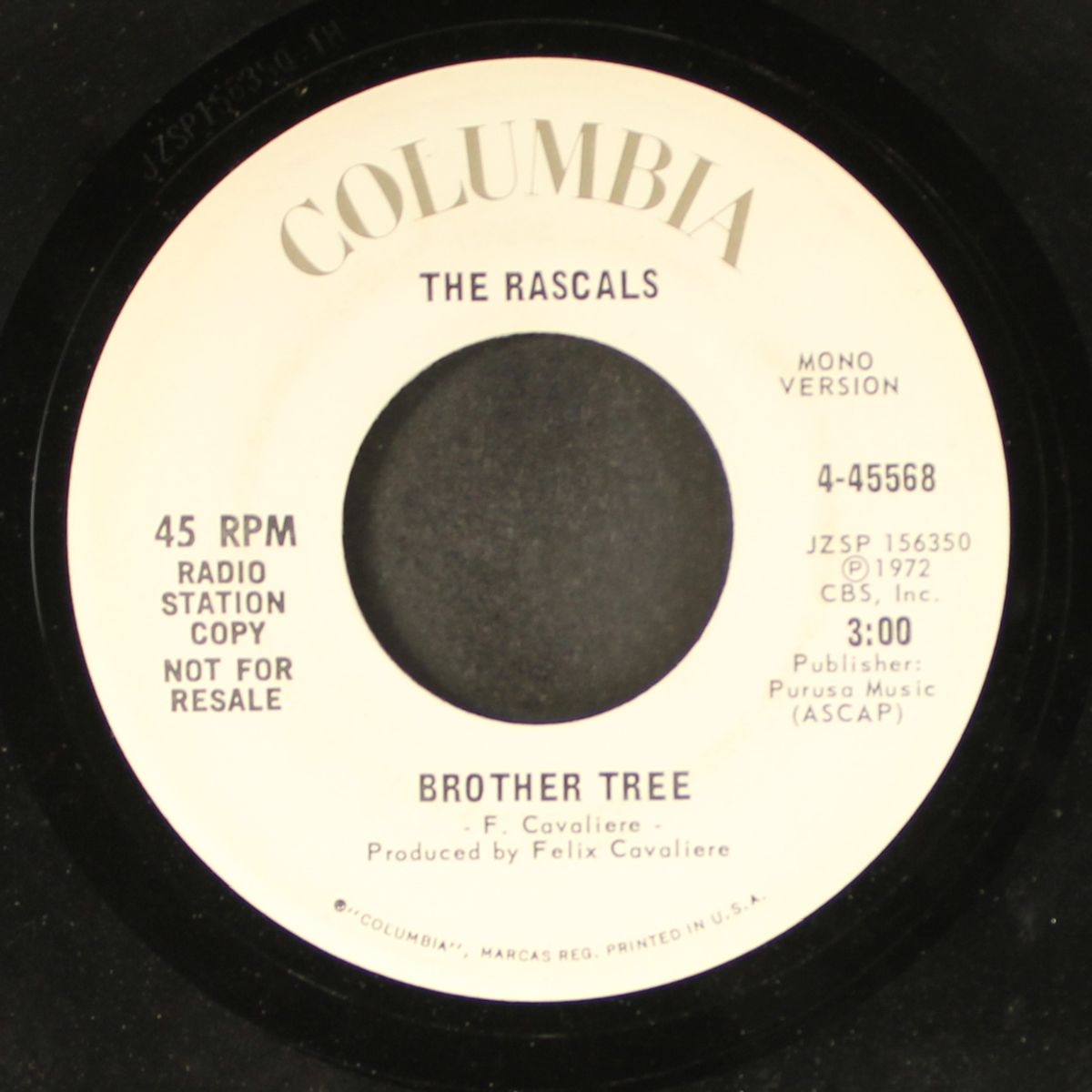 brother tree by RASCALS