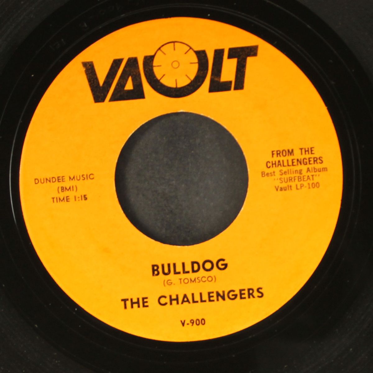torquay / bulldog by CHALLENGERS
