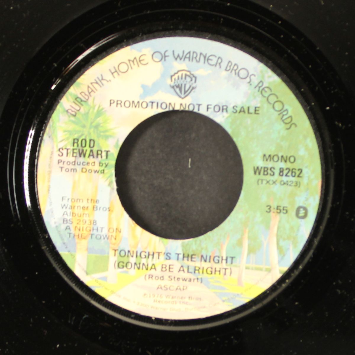 tonight's the night by ROD STEWART