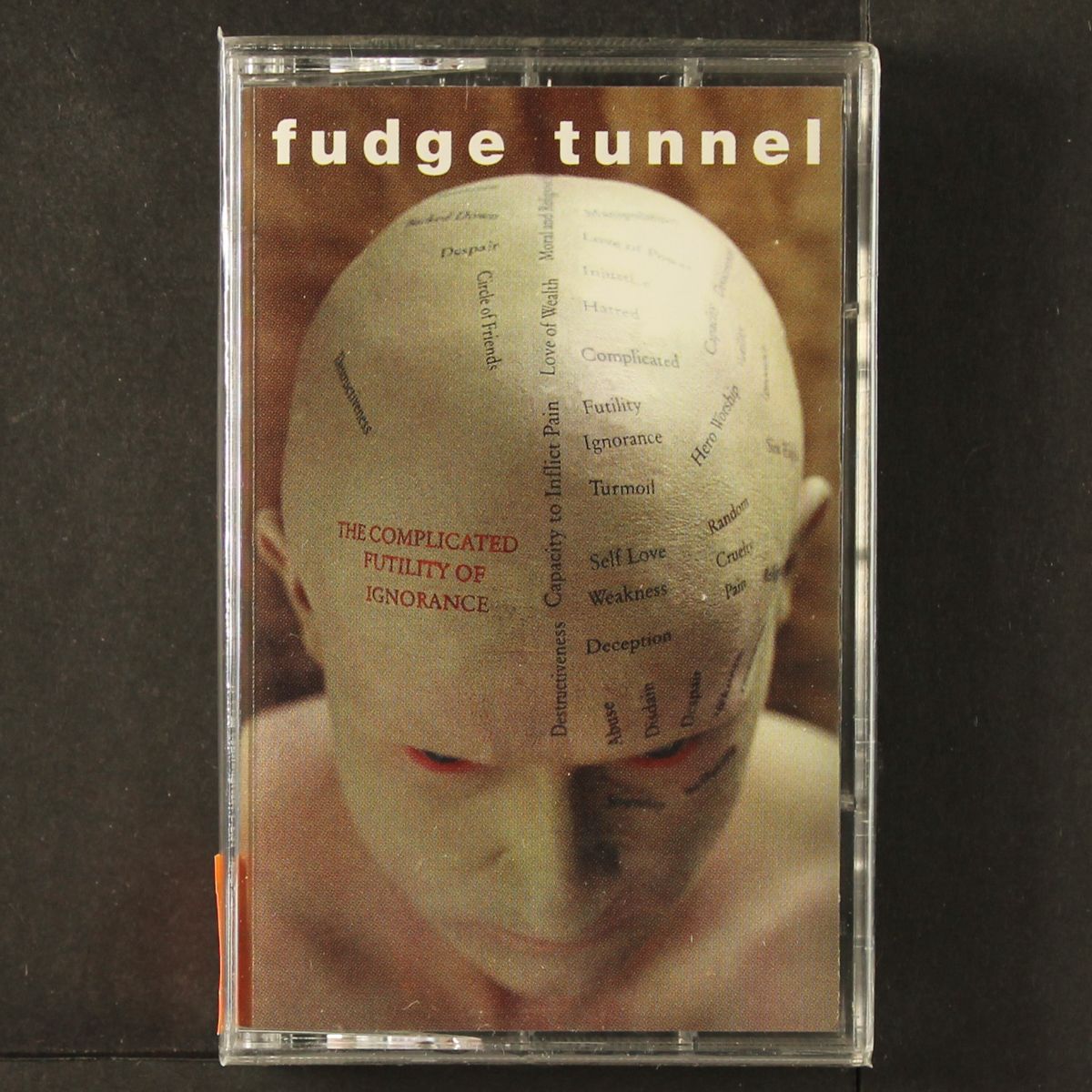 the complicated futility of ignorance by FUDGE TUNNEL