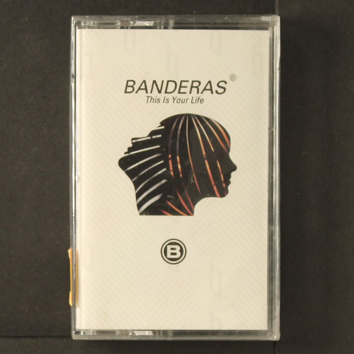 this is your life by BANDERAS