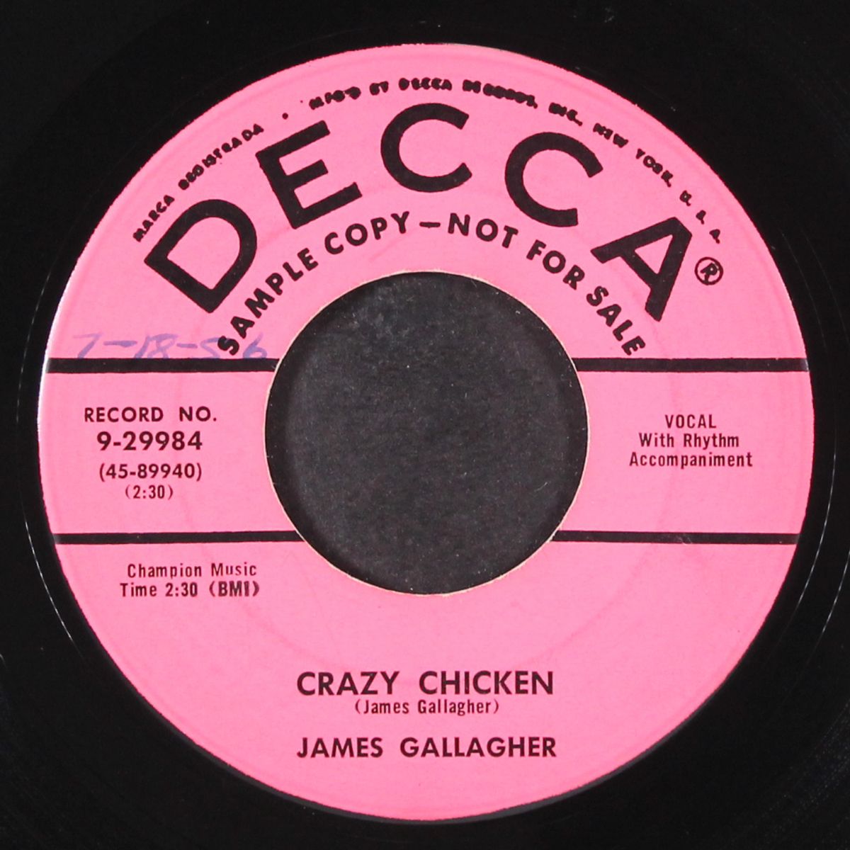 crazy chicken by JAMES GALLAGHER