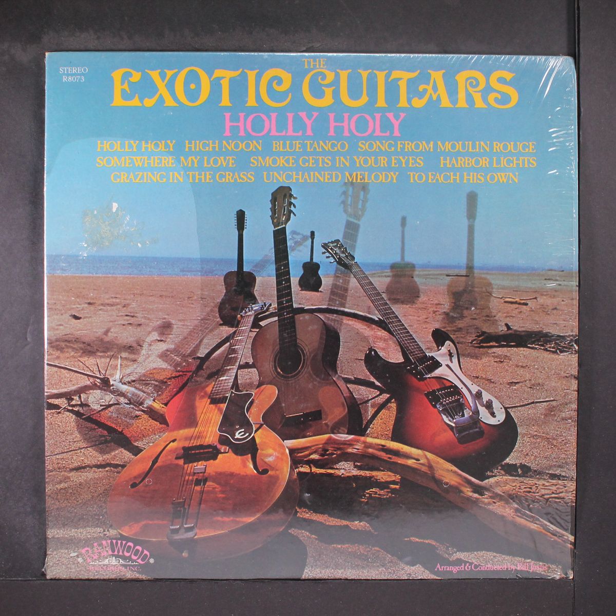 holly holy by EXOTIC GUITARS