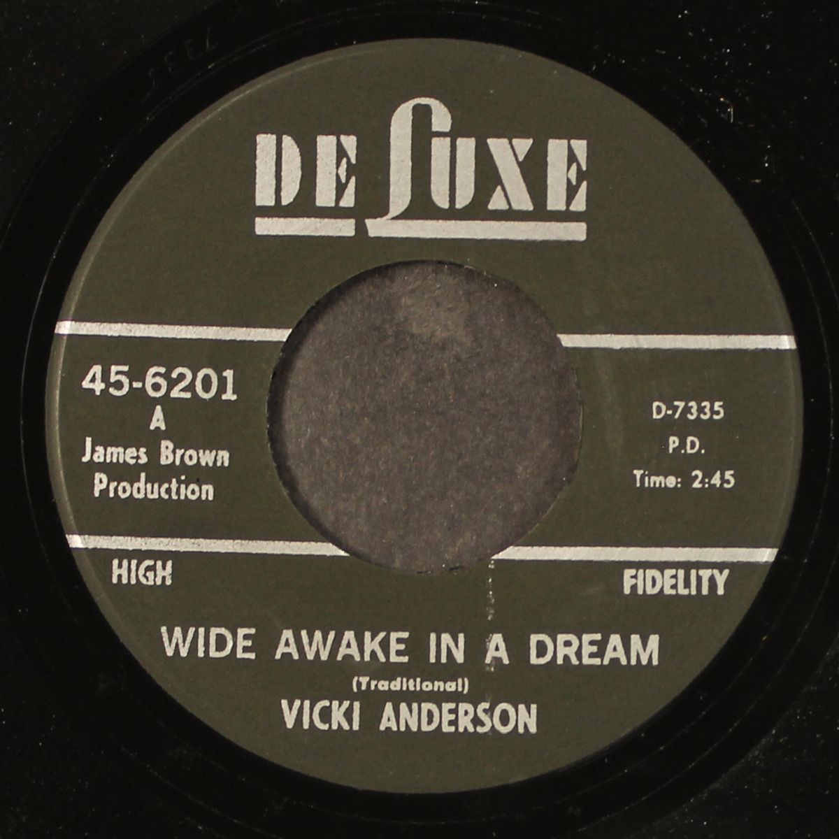 wide awake in a dream / nobody cares by VICKI ANDERSON