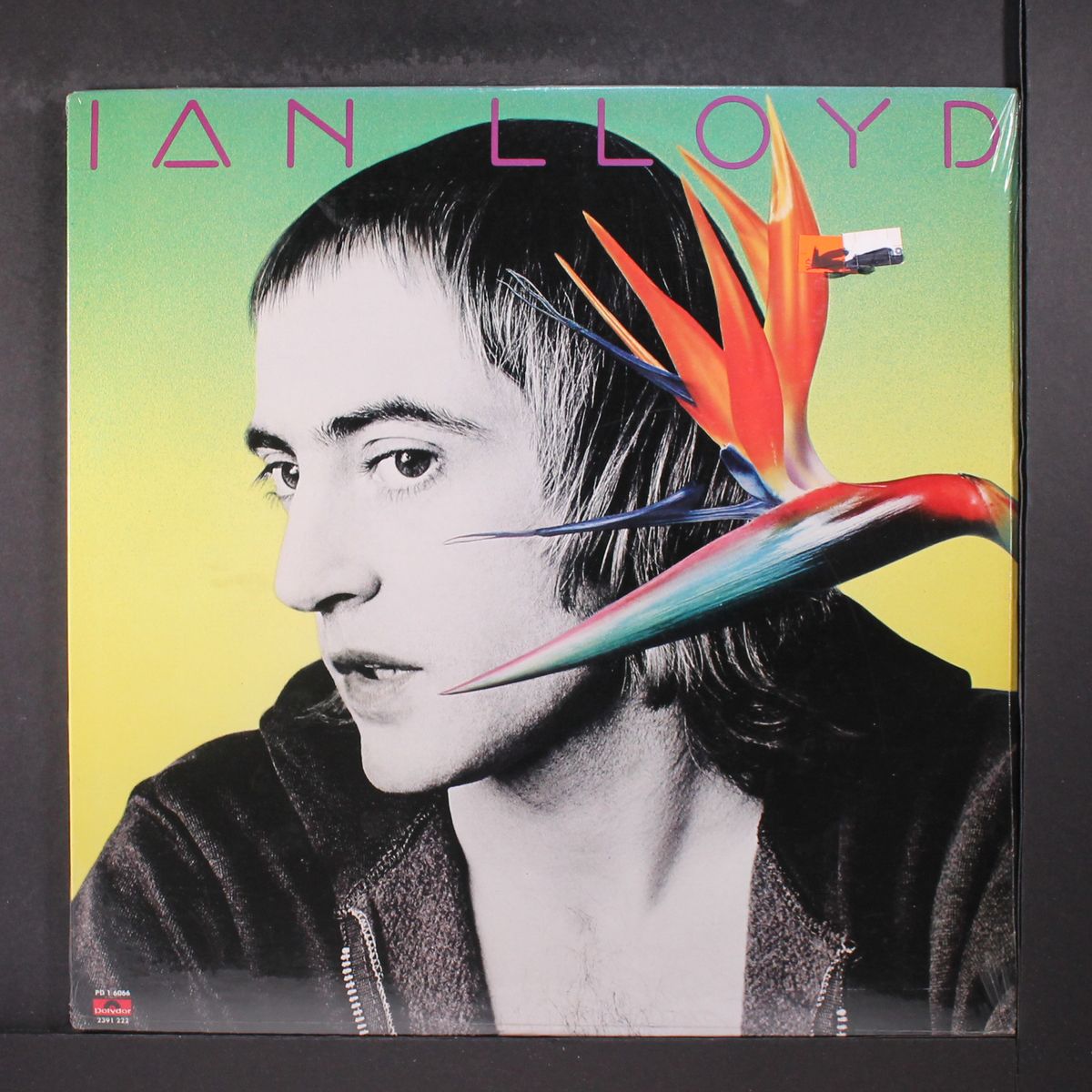 ian lloyd by IAN LLOYD