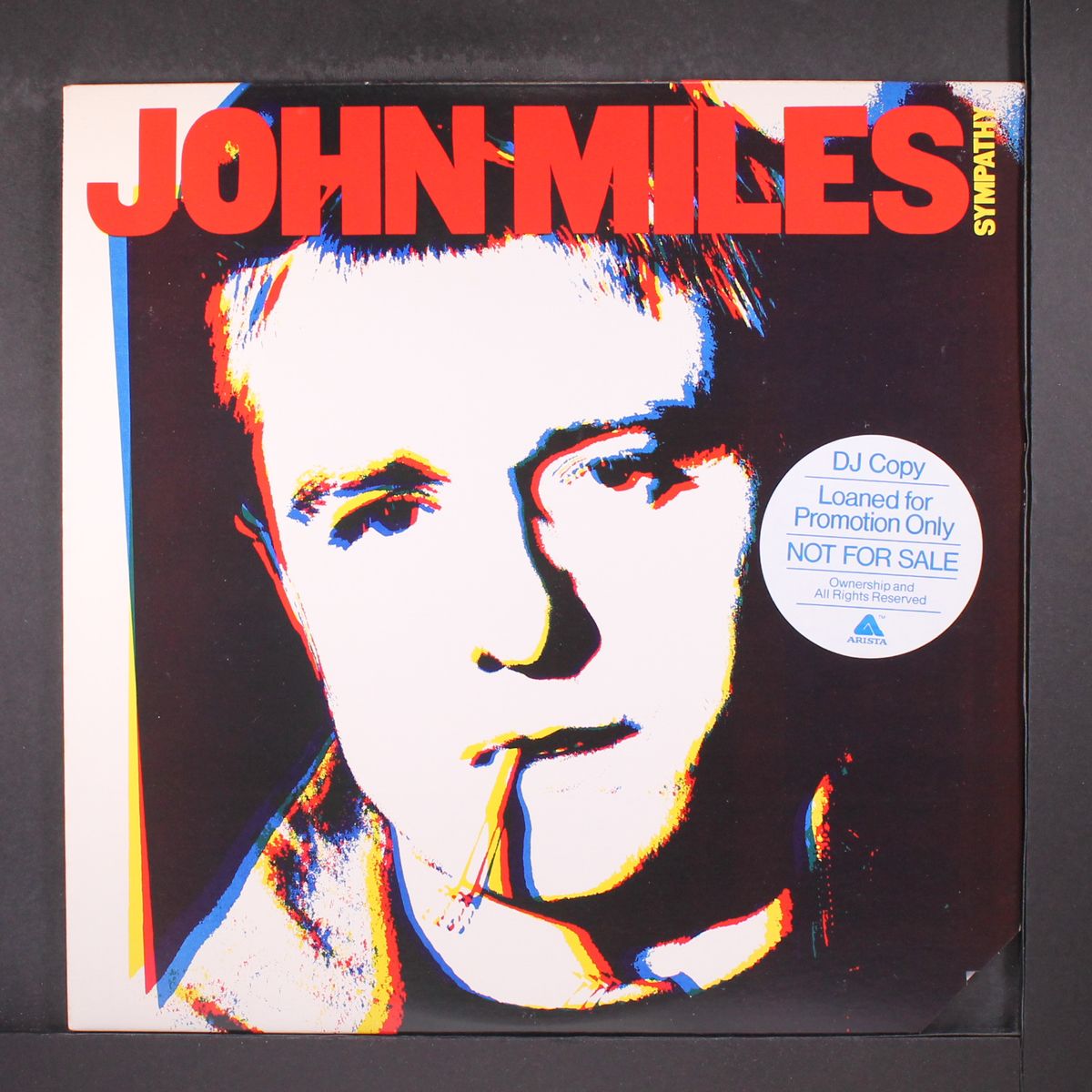 sympathy by JOHN MILES