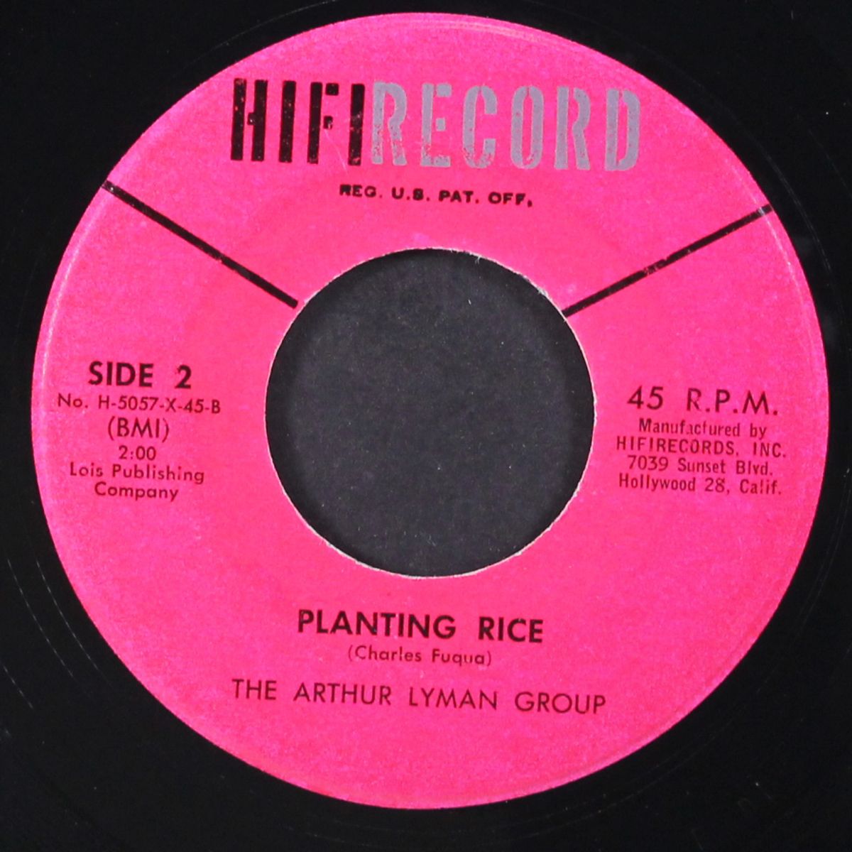 america / planting rice by ARTHUR LYMAN