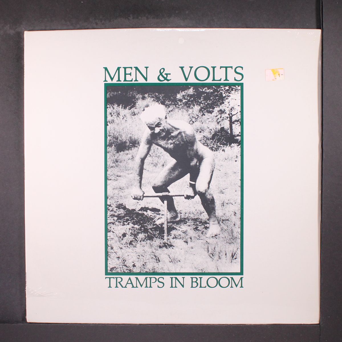 tramps in bloom by MEN & VOLTS