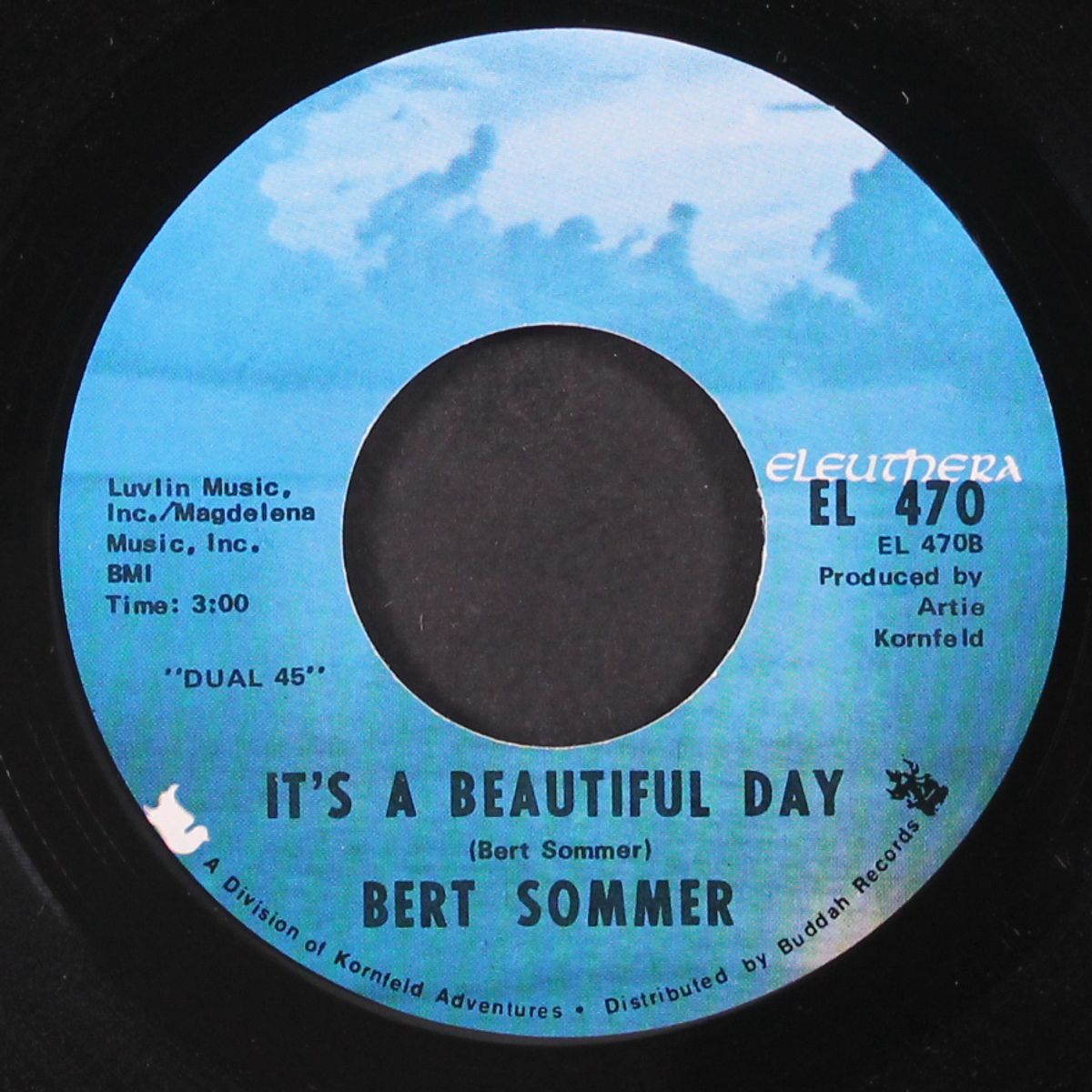 it's a beautiful day / we're all playing in the same band by BERT SOMMER