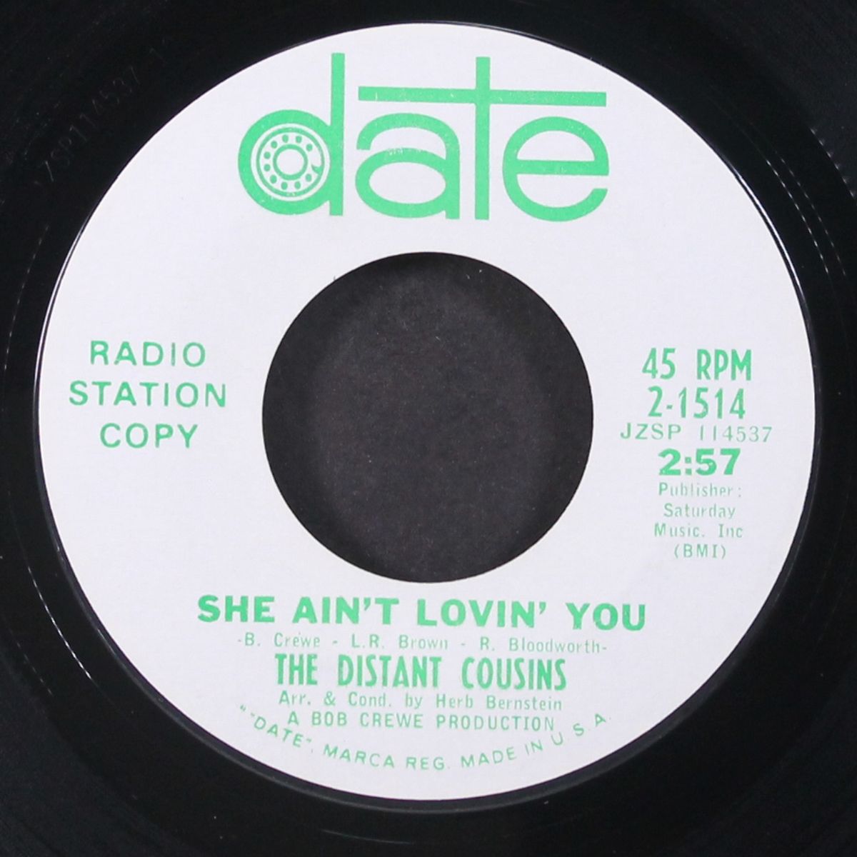 she ain't lovin' you / here today gone tomorrow by DISTANT COUSINS
