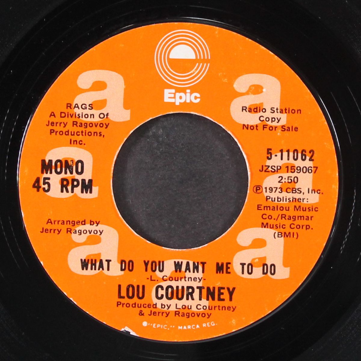 what do you want me to do by LOU COURTNEY