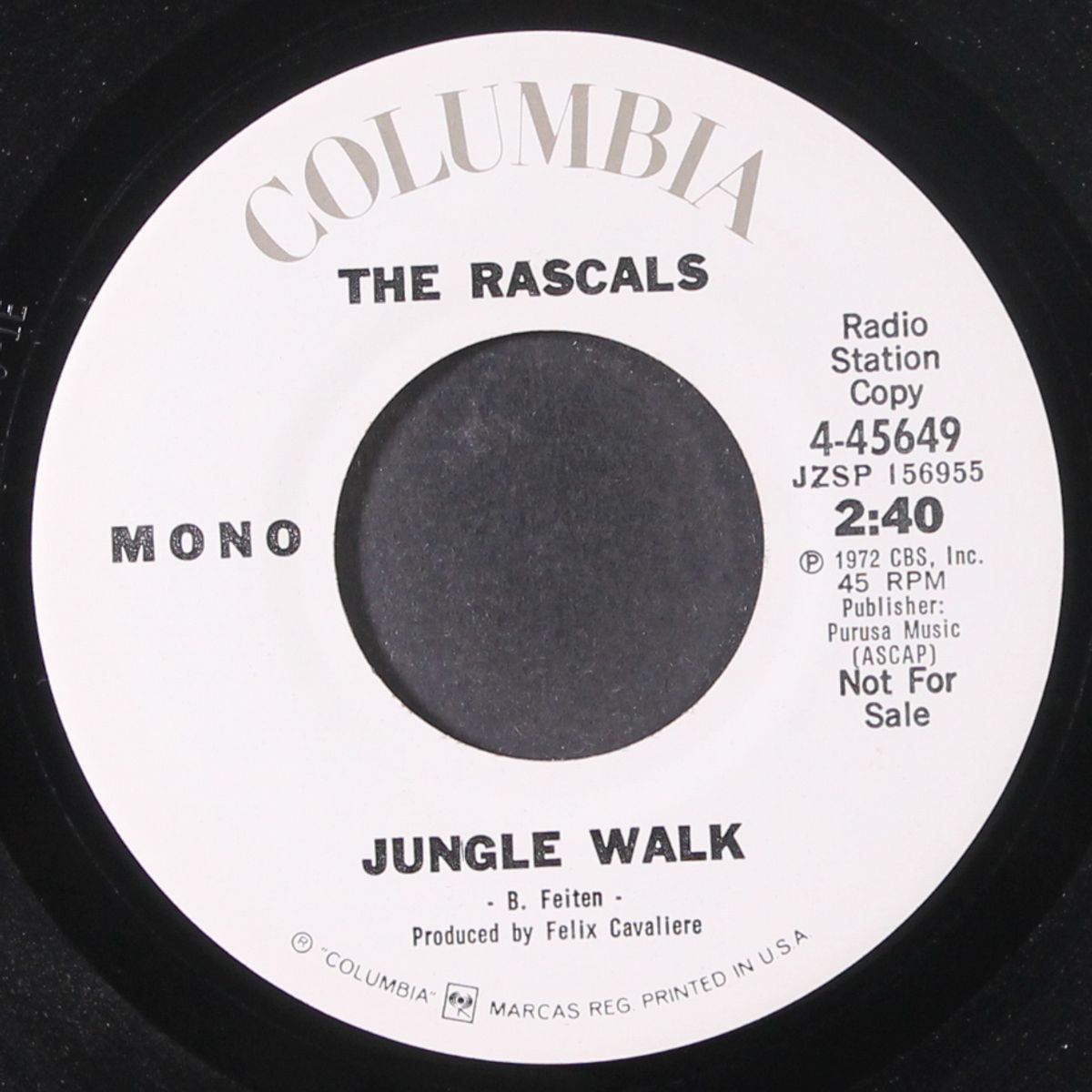jungle walk by RASCALS