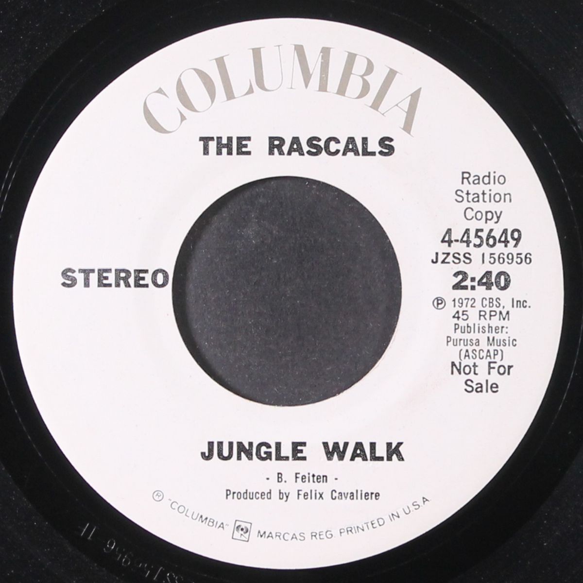 jungle walk by RASCALS