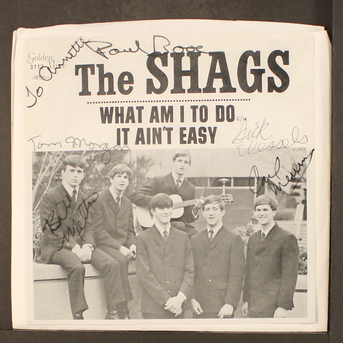 did i say +3 by SHAGS