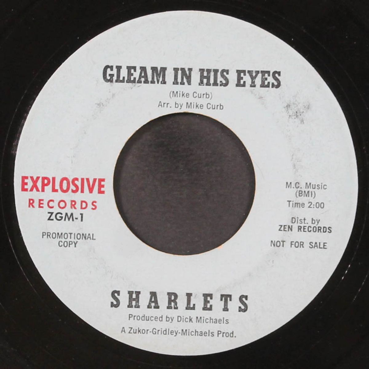gleam in his eyes / freddie by SHARLETS