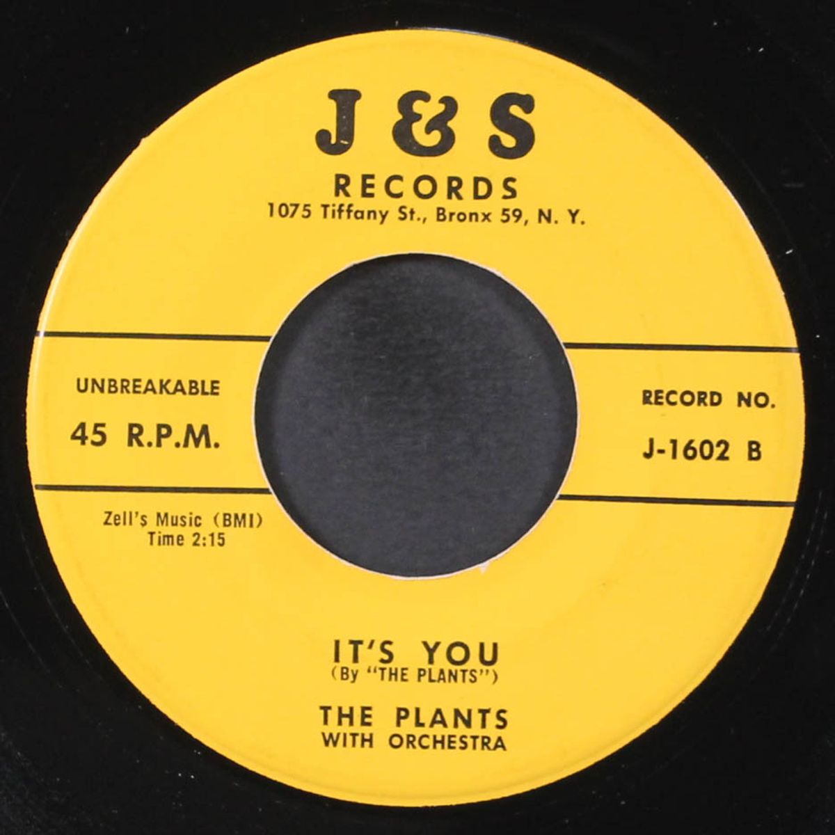 dear i swear / it's you by PLANTS