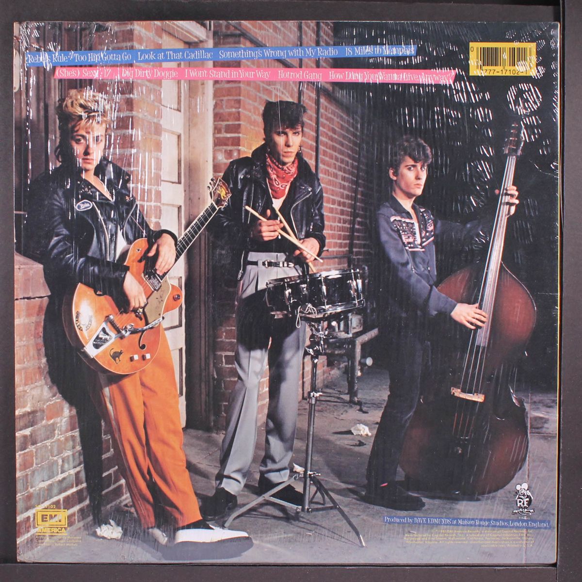 rant n' rave with the stray cats by STRAY CATS