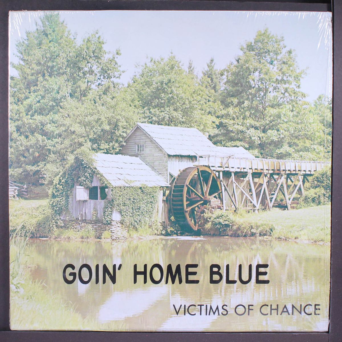 goin' home blue by VICTIMS OF CHANCE