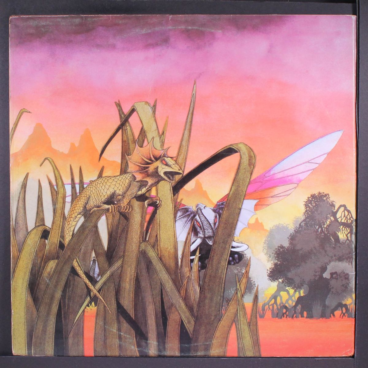 osibisa by OSIBISA