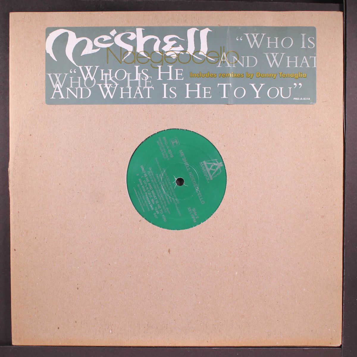 who is he and what is he to you by ME'SHELL NDEGEOCELLO