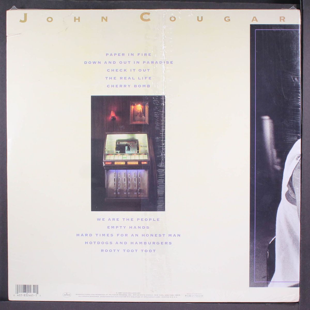 the lonesome jubilee by JOHN COUGAR MELLENCAMP