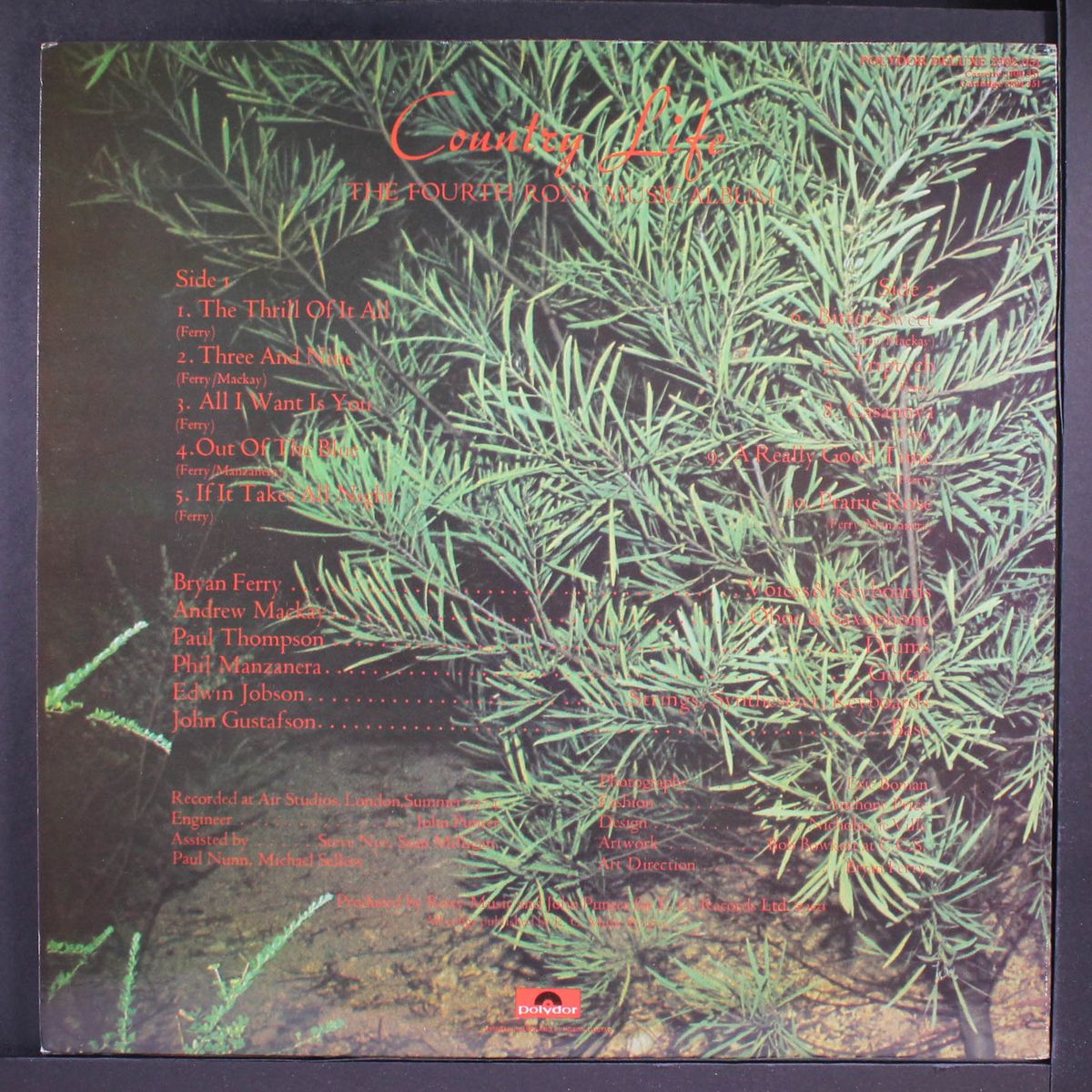 country life by ROXY MUSIC