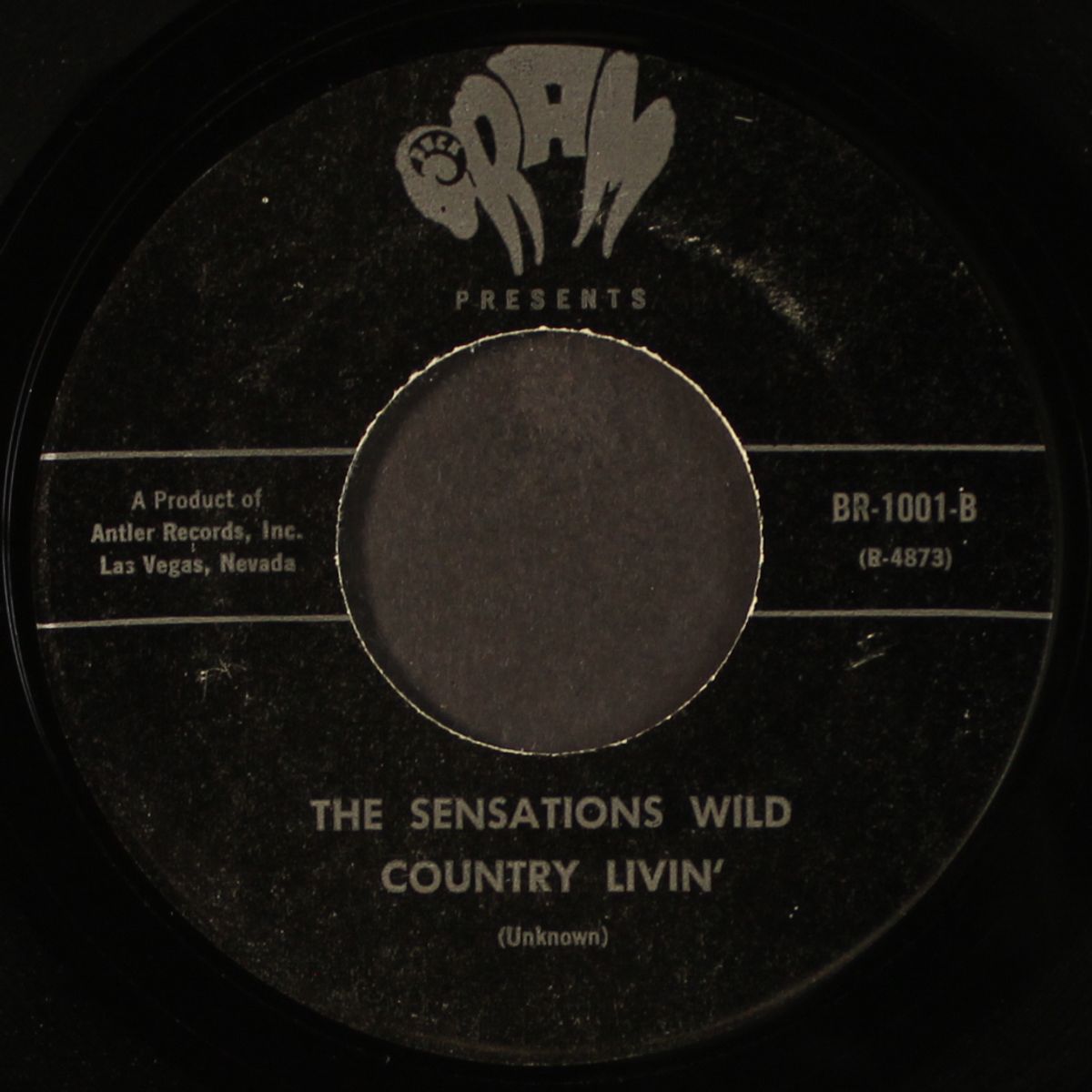 love somebody, love someone / country livin' by SENSATIONS WILD