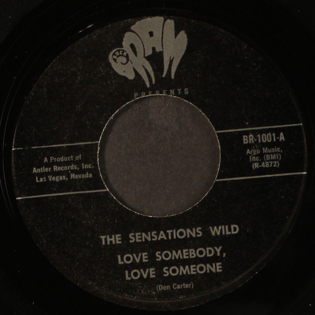 love somebody, love someone / country livin' by SENSATIONS WILD