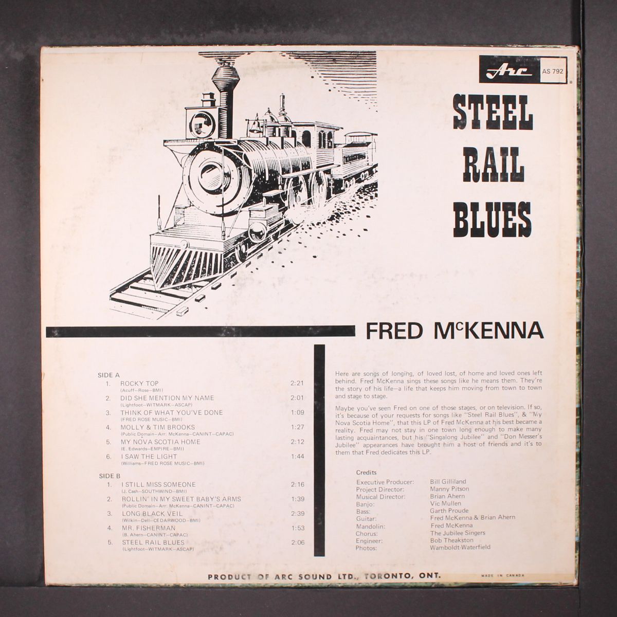 steel rail blues by FRED MCKENNA