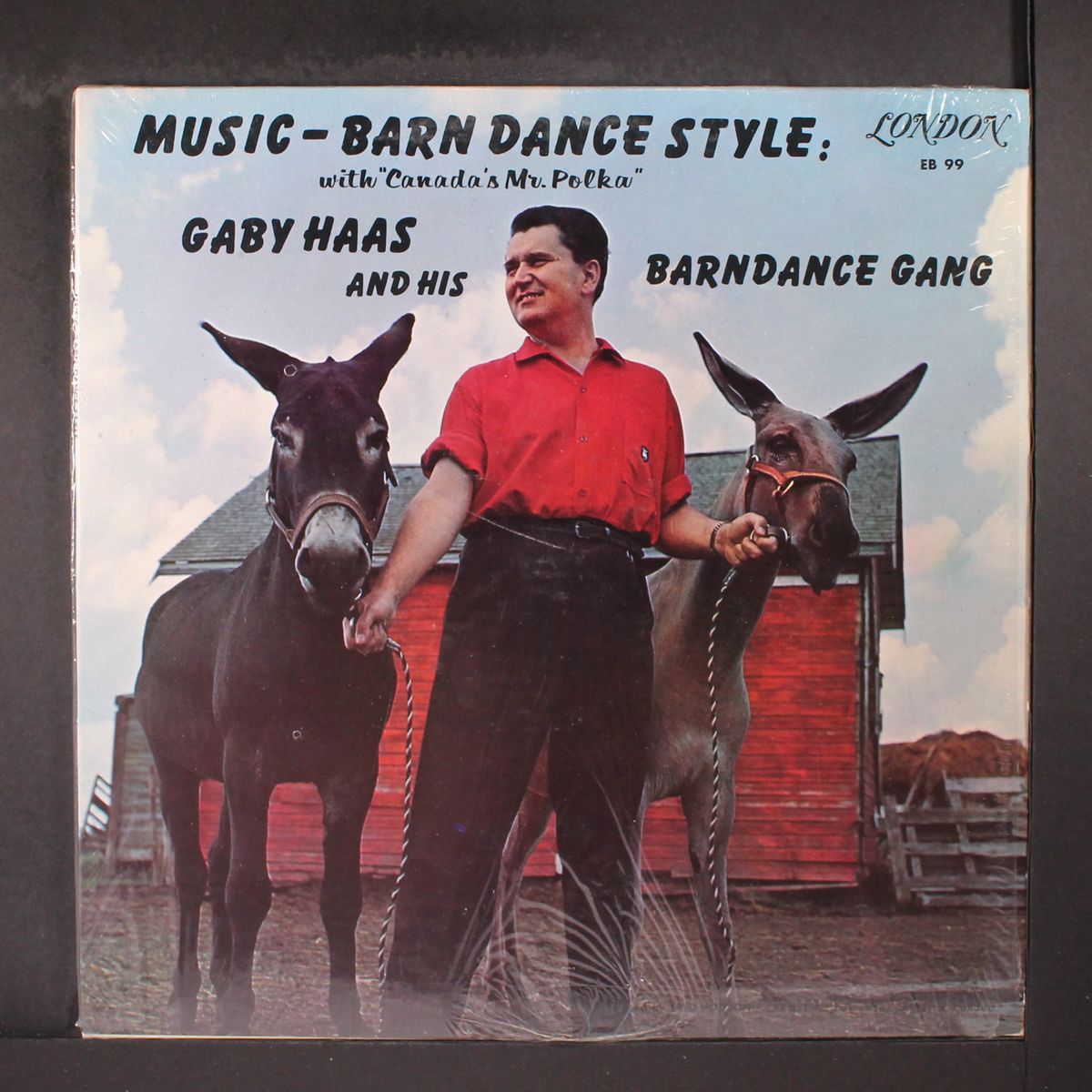 music - barn dance style by GABY HAAS