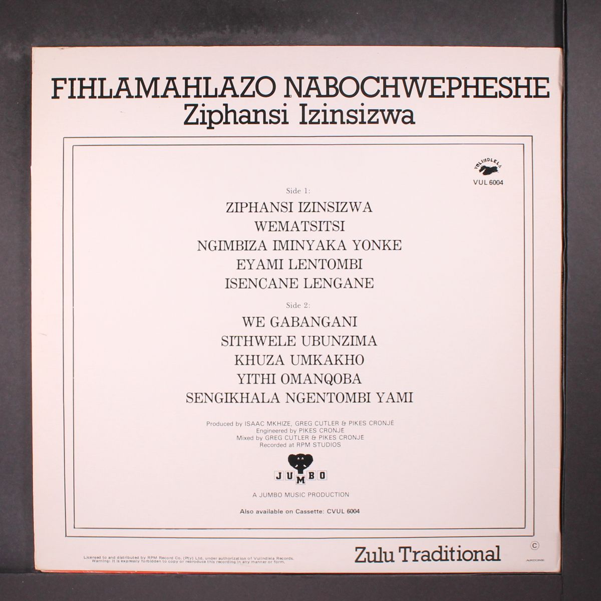 ziphansi izinsizwa by FIHLAMAHLAZO NABOCHWEPHESHE